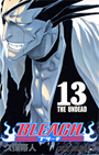 BLEACH　13巻