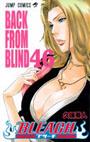 BLEACH　46巻