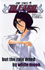 BLEACH―ブリーチ― OFFICIAL ANIMATION BOOK VIBEs．